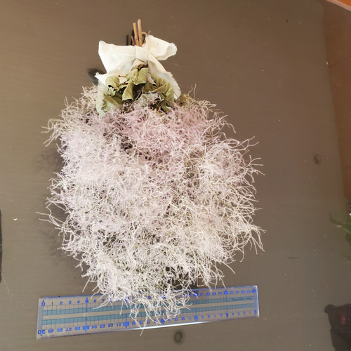 スモークツリーの小さめスワッグ スワッグ GREEN ROSE 通販