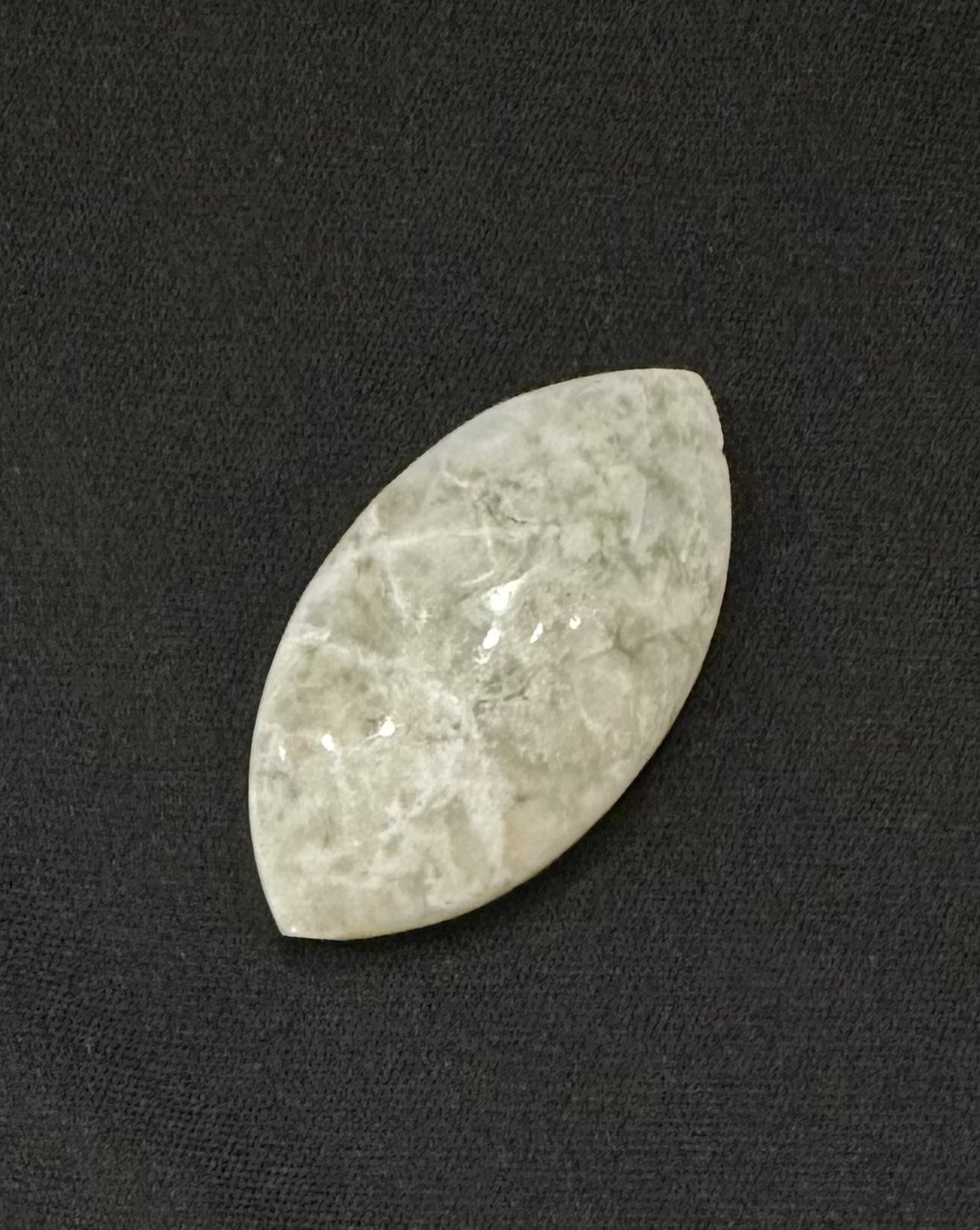 福寿安康　翡翠亀背図