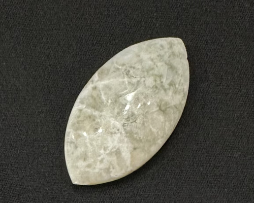 9de24c48c2169e21614641c2aea311