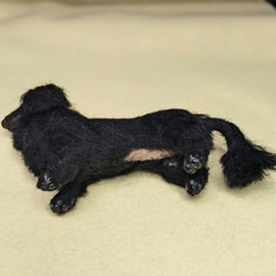 【黒い美犬】ダックス 羊毛フェルト犬 真っ黒 ソリッド  プレゼント ペットロス 9枚目の画像