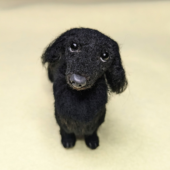 【黒い美犬】ダックス 羊毛フェルト犬 真っ黒 ソリッド  プレゼント ペットロス 5枚目の画像