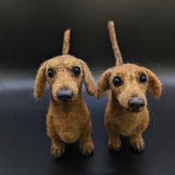 【ちょい悪兄弟】ダックス 羊毛フェルト＋犬　スムース 　カニヘン　ペットロス　プレゼント 10枚目の画像