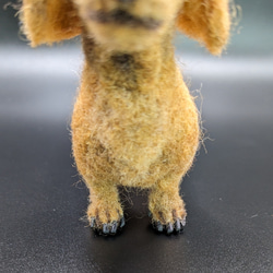 【ちょい悪兄弟】ダックス 羊毛フェルト＋犬　スムース 　カニヘン　ペットロス　プレゼント 14枚目の画像