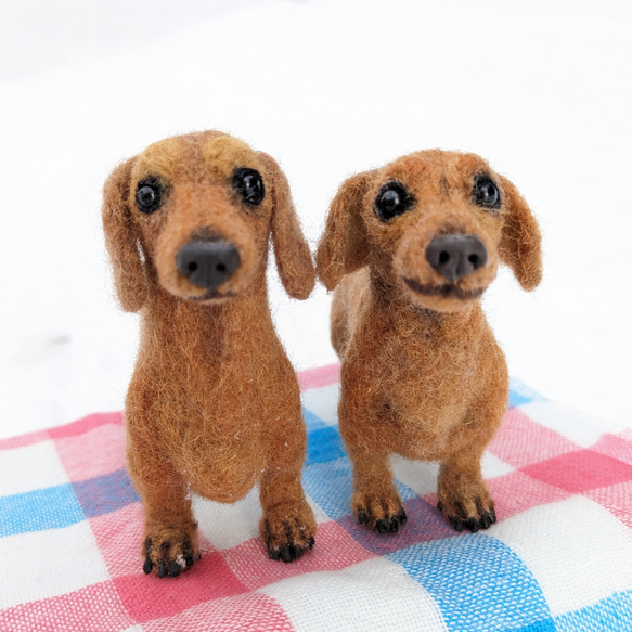【ちょい悪兄弟】ダックス 羊毛フェルト＋犬　スムース 　カニヘン　ペットロス　プレゼント 1枚目の画像