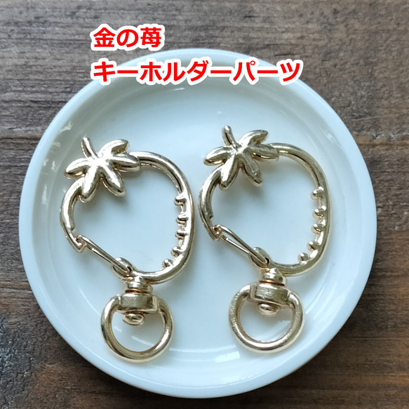 5個セット／種がかわいい！ぴかぴかゴールドの苺ナスカン・回転カン 