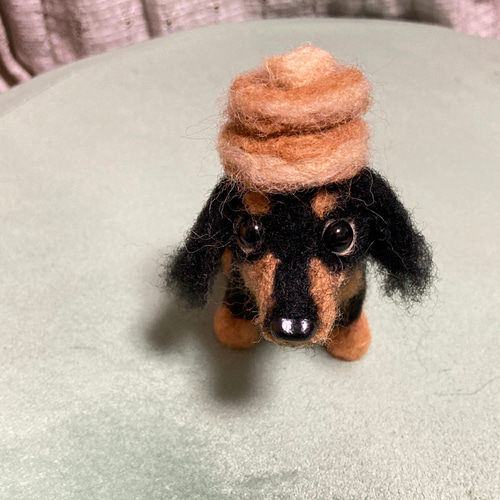 見本 ブラックタンダックスフンド ミニチュアダックスフンド 羊毛