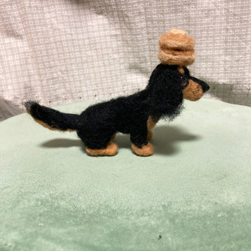 見本 ブラックタンダックスフンド ミニチュアダックスフンド 羊毛