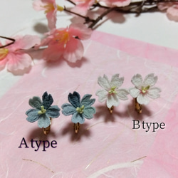 桜の耳飾り　送料無料 2枚目の画像
