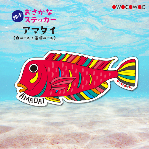 おさかな防水ステッカー◇アマダイ シール・ステッカー owocowac 通販|Creema(クリーマ) 17172322 おさかな防水ステッカー◇アマダイ シール・ステッカー owocowac 通販|Creema(クリーマ) 17172322