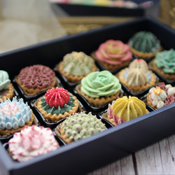 (風呂敷ラッピング)多肉植物クッキー15個入り  お歳暮 食べられる多肉植物！あんこの多肉植物！ 9枚目の画像