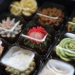 (風呂敷ラッピング)多肉植物クッキー15個入り  お歳暮 食べられる多肉植物！あんこの多肉植物！ 2枚目の画像