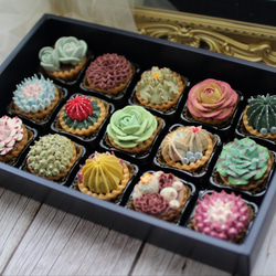 (風呂敷ラッピング)多肉植物クッキー15個入り  お歳暮 食べられる多肉植物！あんこの多肉植物！ 1枚目の画像