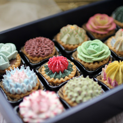 (風呂敷ラッピング)多肉植物クッキー15個入り  お歳暮 食べられる多肉植物！あんこの多肉植物！ 3枚目の画像