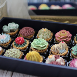 (風呂敷ラッピング)多肉植物クッキー15個入り  お歳暮 食べられる多肉植物！あんこの多肉植物！ 8枚目の画像