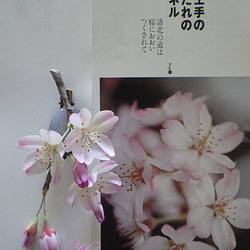 古都のしだれ桜のコサージュ＆髪飾り 2枚目の画像