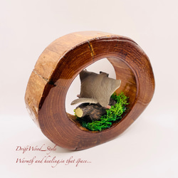 一つ限りの流木アート 羽ばたくエゾモモンガ ジオラマ 流木 フィギュア 置物 インテリア レジン モモンガ N4 8枚目の画像