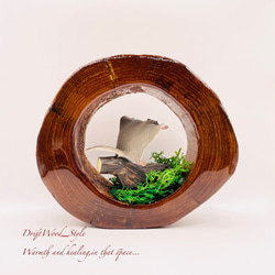 一つ限りの流木アート 羽ばたくエゾモモンガ ジオラマ 流木 フィギュア 置物 インテリア レジン モモンガ N4 5枚目の画像