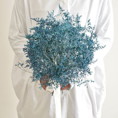 ドライフラワー❇️スターチス ブルーハワイ❣️ 楽天市場】ドライフラワー花材スターチス・ブルーハワイ