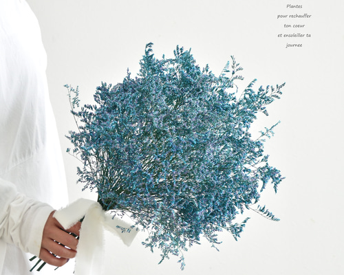 ドライフラワー❇️スターチス ブルーハワイ❣️ ドライフラワー❇️スターチス ブルーハワイ❣️ ドライフラワー