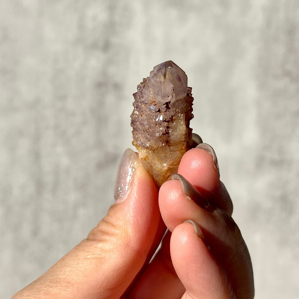 南アフリカ産【ミニ カクタスクォーツ】Spirit Quartz（12.5g）鉱物 天然石 6枚目の画像