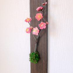 春を告げる　梅の花　木製フレーム　アーティフィシャルフラワー　光触媒加工 5枚目の画像