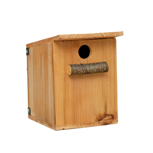 巣・巣箱 kotori Amazon.co.jp: 野鳥の巣箱 鳥の家の木箱の木の鳥の巣の巣の