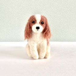 いつでも一緒♪ おすわりキャバリア 犬のぬいぐるみ 羊毛フェルト mofu