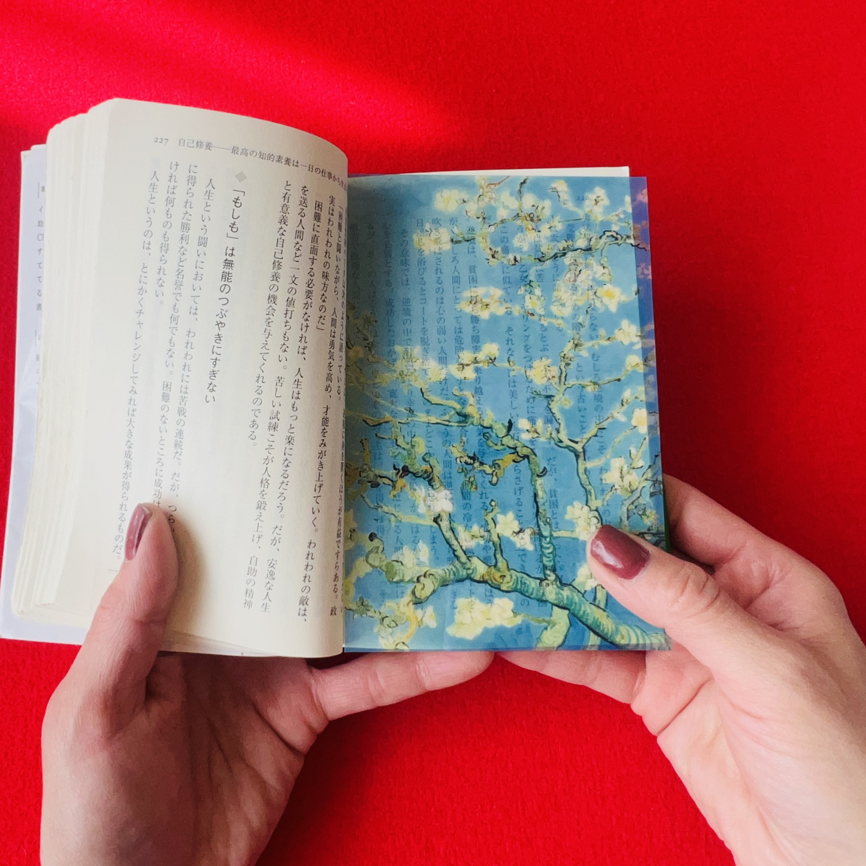 クロードモネリトグラフ厚みのある額に入っているのでたてかけられますです クロードモネリトグラフ厚みのある額に入っているのでたてかけられますです