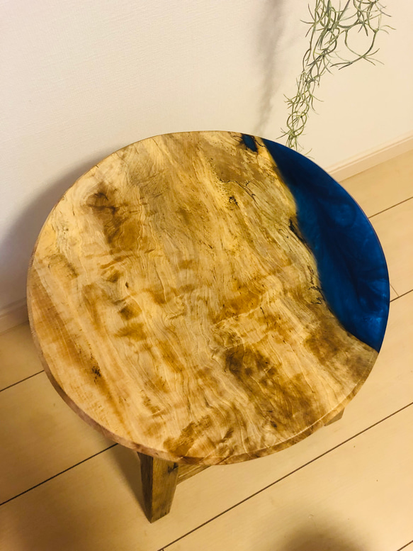 スツール　栃の木　レジン　チェア　観葉植物 