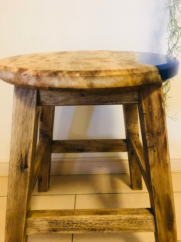 スツール　栃の木　レジン　チェア　観葉植物 