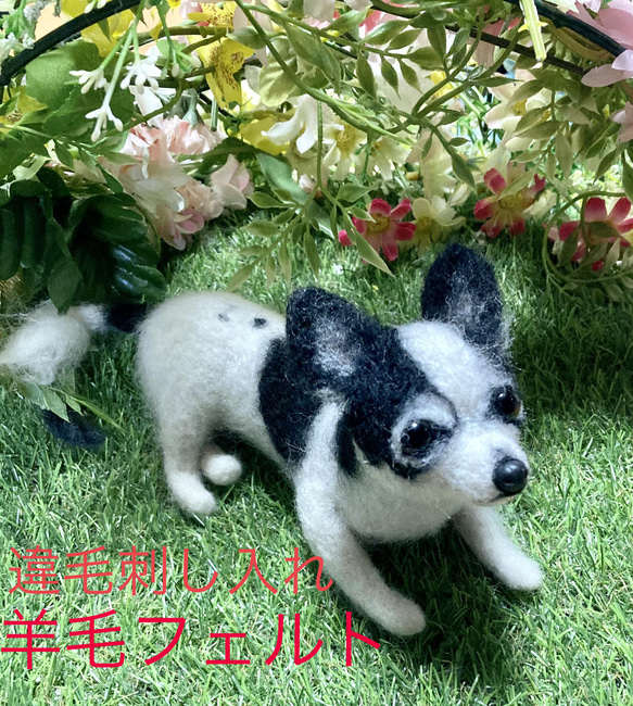 オーダー 羊毛フェルト　犬　ぬいぐるみ　ペットロス　うちの子　20cm BonBon☆Sucre 11枚目の画像