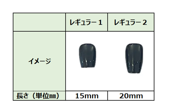  第4張的照片