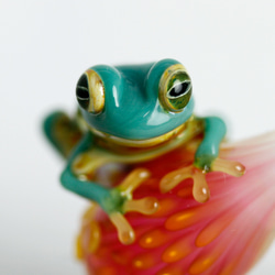 Frog（カエル）ファナネックレス516 4枚目の画像