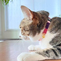 ストライプ　猫さんにやさしい首輪【かぎ針編み　猫の首輪　猫　首輪　セーフティバックル　アジャスター　軽い　やわらかい】 2枚目の画像