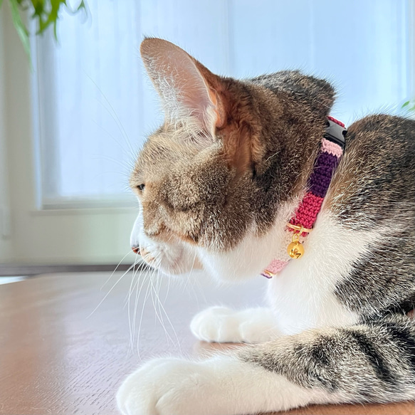 ストライプ　猫さんにやさしい首輪【かぎ針編み　猫の首輪　猫　首輪　セーフティバックル　アジャスター　軽い　やわらかい】 2枚目の画像