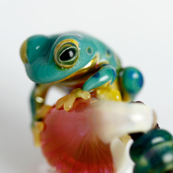 Frog（カエル）ファナネックレス517 4枚目の画像