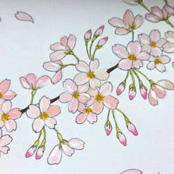 水彩原画【額縁付き】桜 2枚目の画像