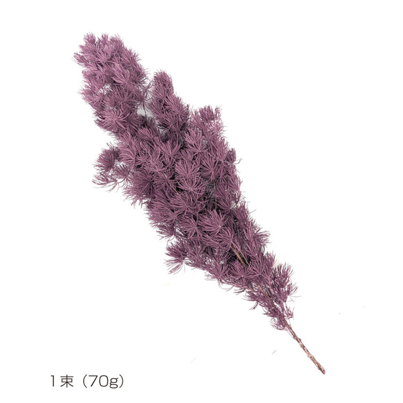 【即納】 カラーミリオ 70g ピーチ プリザーブドフラワー 花材 花 プリザーブド花材 ハンドメイド パーツ 2枚目の画像