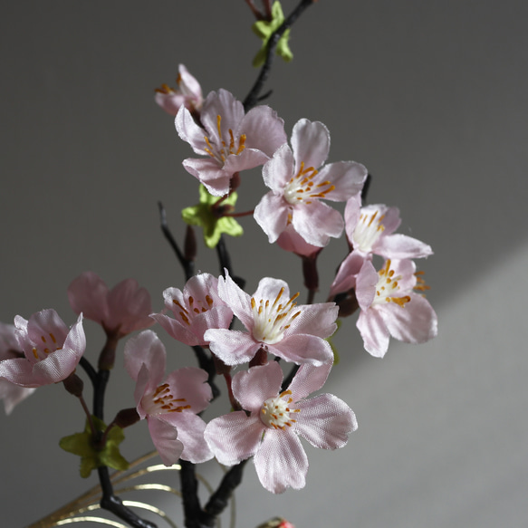 桜のモダンな盆栽アレンジメント　苔　ひな祭り　春　和モダン　誕生日　プレゼント 3枚目の画像