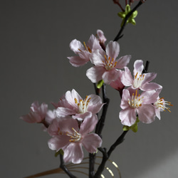 桜のモダンな盆栽アレンジメント　苔　ひな祭り　春　和モダン　誕生日　プレゼント 10枚目の画像