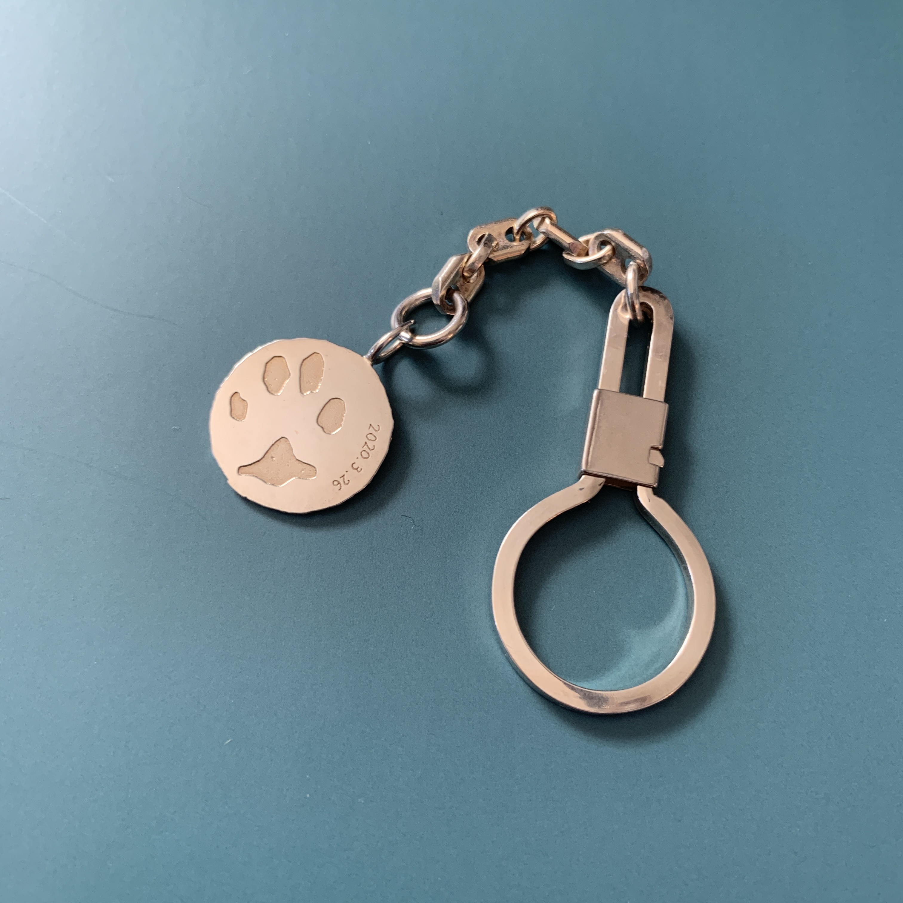 SV925   うちの子といつも一緒にいられる キーチェーン【momento】*受注制作