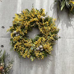 春待ちミモザのフルリース シルバーブルニア リース lavande 通販  