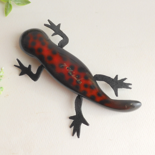 イモリ？どじょう？ 文鎮 アカハライモリとシマドジョウの混泳 | ニホンアマガエルの飼育日記