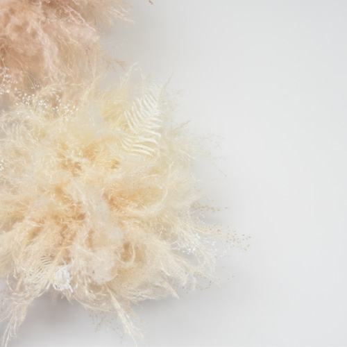 MAKOページ パンパスとグレビレアのフライングボール MAKOページ パンパスとグレビレアのフライングボール MAKOページ