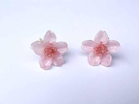 本物の桜 ソメイヨシノ / フックピアス / sakura pink 3枚目の画像