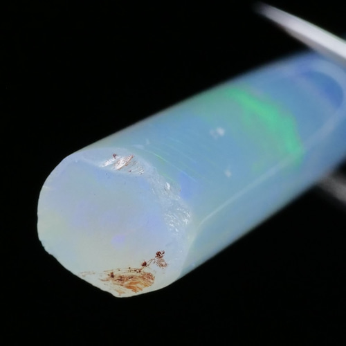 鉱物 標本 化石 蛋白石 潜晶質 原石】オーストラリア ベレムナイト