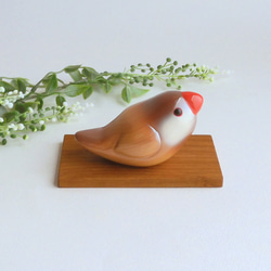 シナモン文鳥 (★台付き)  Java sparrow / wood bird 2枚目の画像