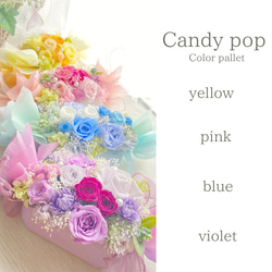 color pallet 〜Candy pop〜 2枚目の画像