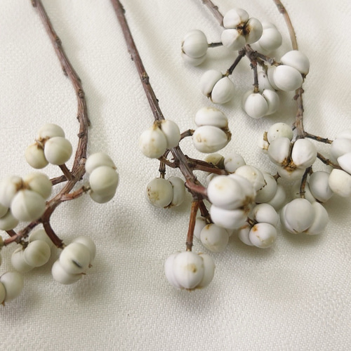 ナンキンハゼ。今年早採り。25本。ナンキンハゼの実。ドライフラワー。スワッグ。 ナンキンハゼ。今年早採り。25本。ナンキンハゼの実。ドライフラワー