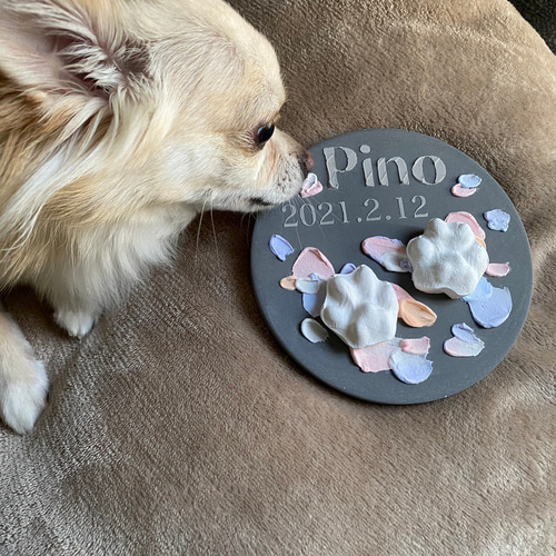 にくきゅうボード【4センチ以内】ペット 手形足形 犬猫手形 肉球